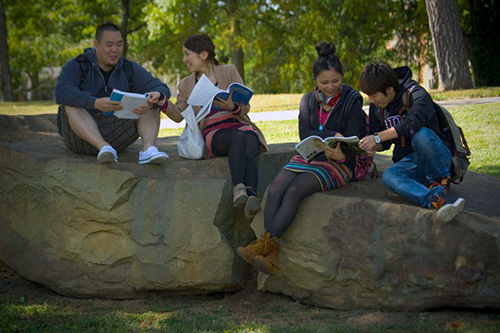 cesl-students-study-outside.jpg